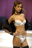 SIL 2006
