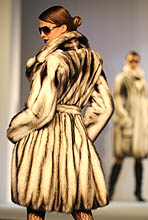 Pelz Trends H/W 2008