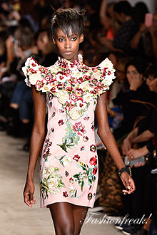Andrew GN